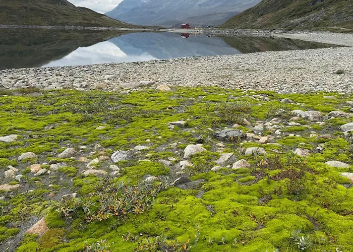 Leilighet Panoramic In The Heart Of